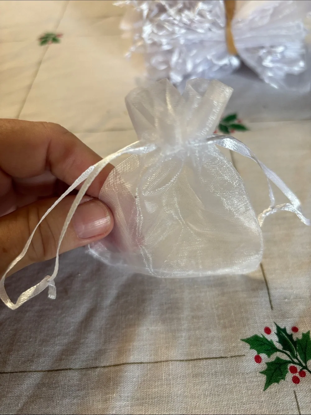 White Sheer Organza Favor Bags - Elegant Party Supplies -65